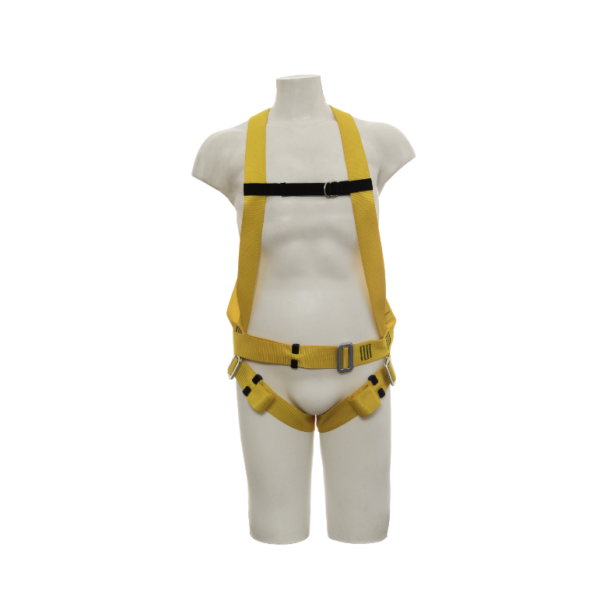 Design sem nome (2)